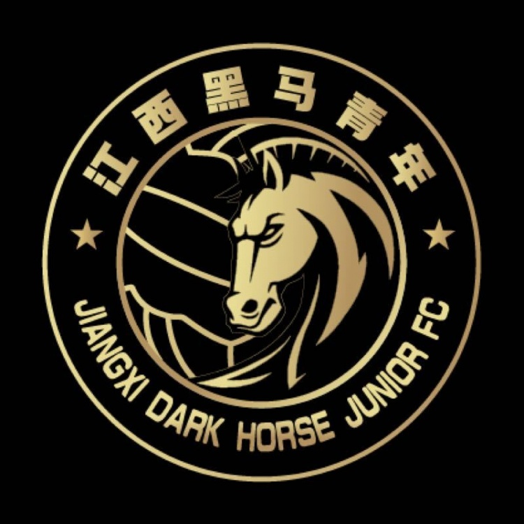  官方：江西黑馬青年完成異地遷移程序，更名為溫州職業(yè)足球俱樂部